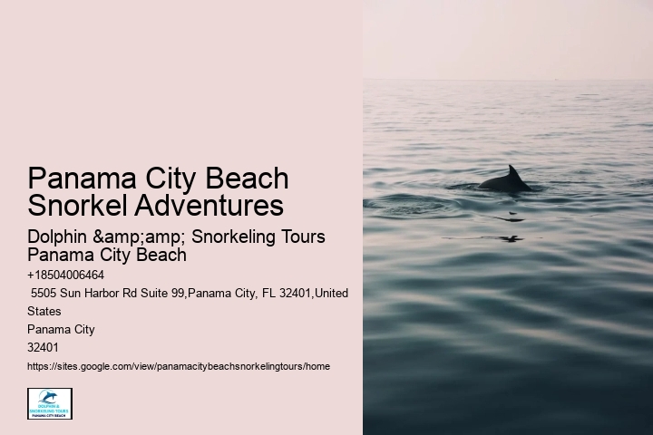 Snorkeling Experiences Departing From Panama City Beach