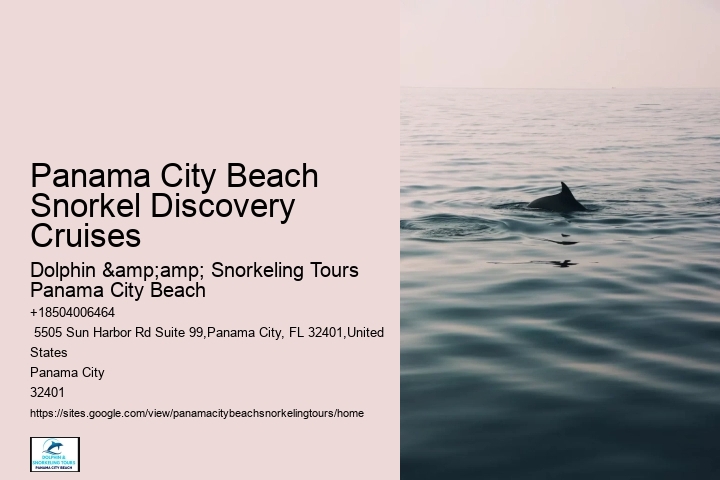 Panama City Beach Snorkeling Tours South