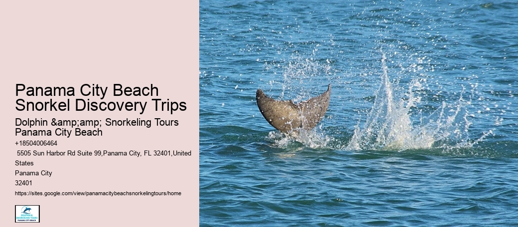 What Type Of Marine Life Encounters Can I Expect During The Snorkeling Tour