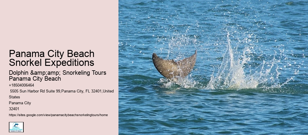 Snorkel Excursions In Panama City Beach