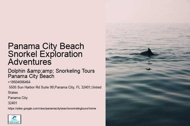 Panama City Beach Snorkeling Tours Maui