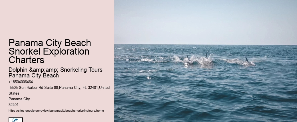 Snorkeling Adventures Departing From Panama City Beach