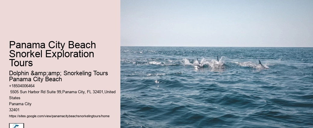 Panama City Beach Snorkeling Tours East Mountains