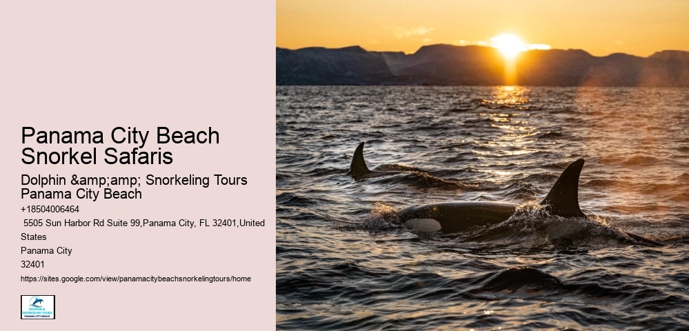 Panama City Beach Snorkeling Tours 920