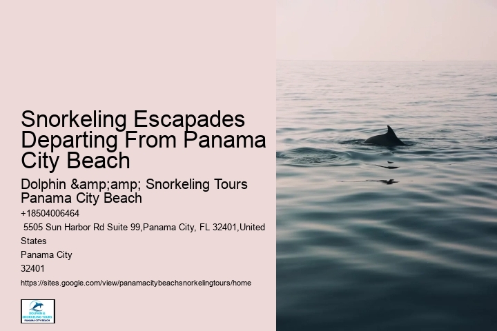 Panama City Beach Snorkeling Tours Queens Bay