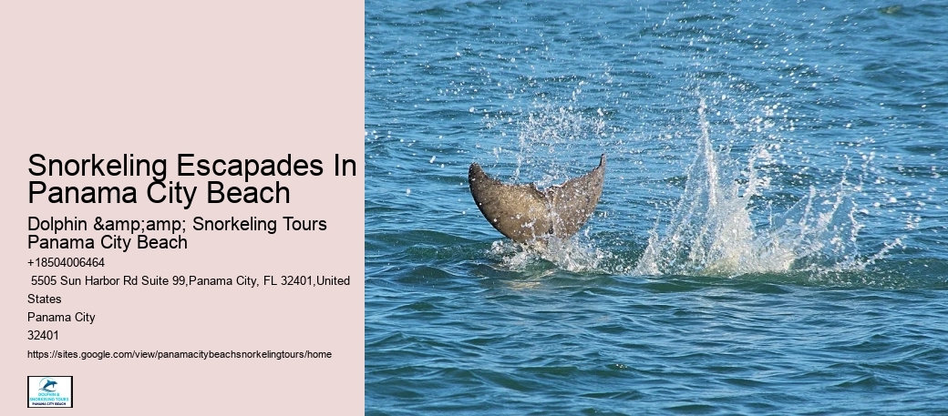 Panama City Beach Snorkeling Tours Andrews Bay