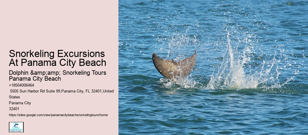 Blue Dolphin Tours