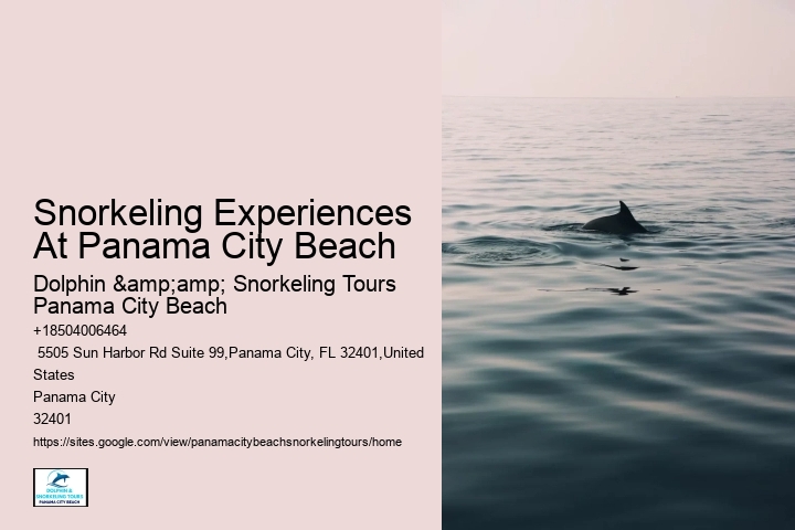 Jet Snorkeling Panama City Beach Beach
