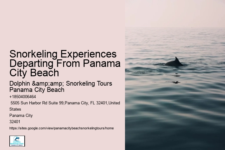 Panama City Beach Snorkel Discovery Adventures