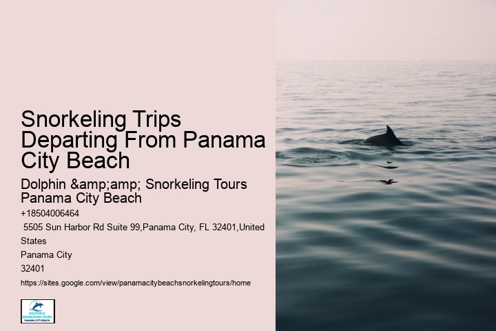 Top 10 Panama City Beach Snorkeling Tours 2024