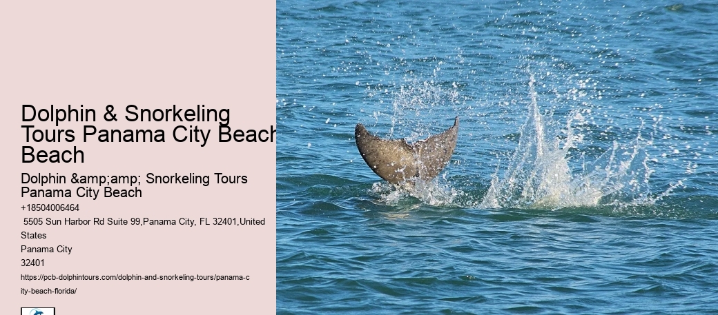 Panama City Beach Snorkeling Tours Times