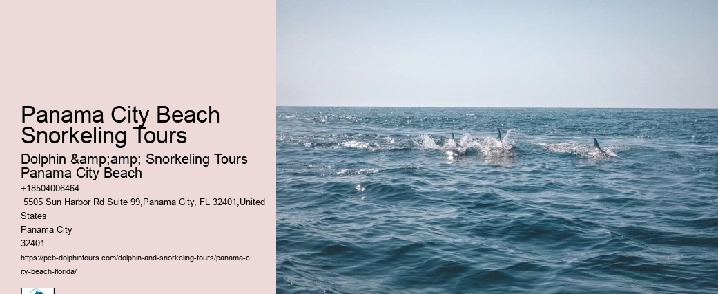 Snorkeling Day Trips In Panama City Beach