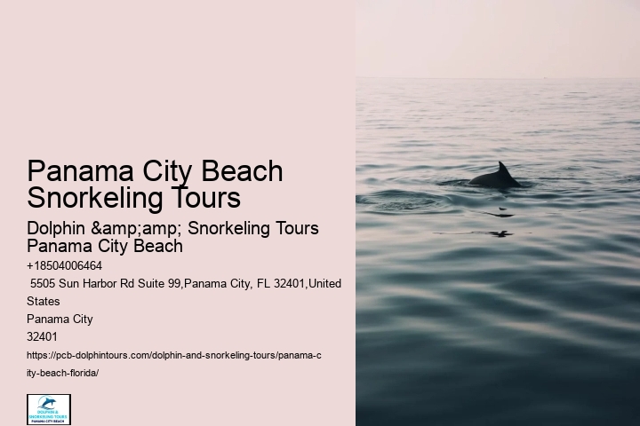 Tour Panama City Beach