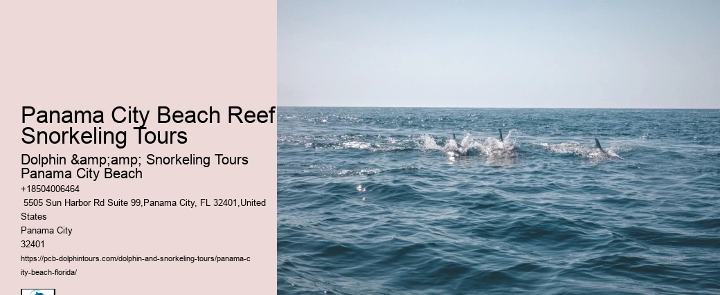 Snorkeling Tours From Panama City Beach
