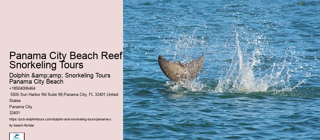 Panama City Beach Snorkel Outings