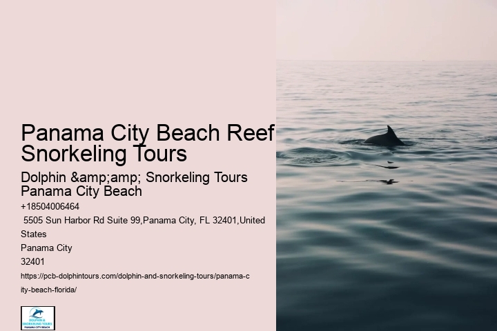 What Is The Clearest Water Beach In Florida
