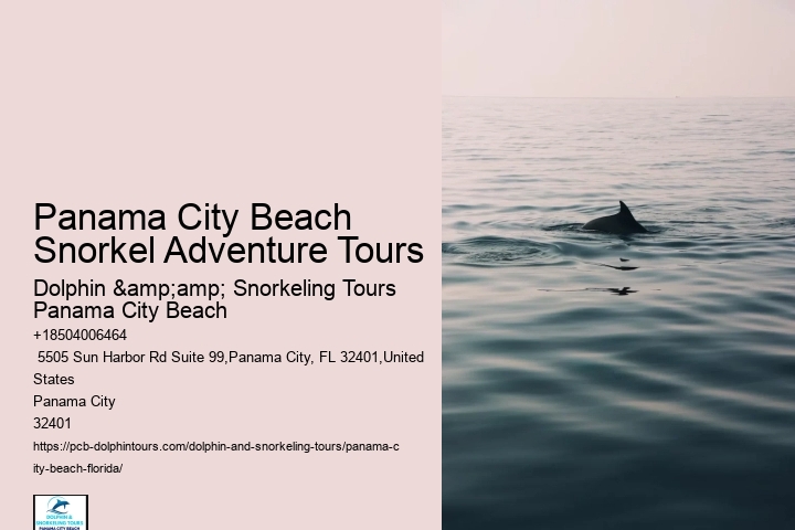 Panama City Beach Snorkeling Tours From Lahaina