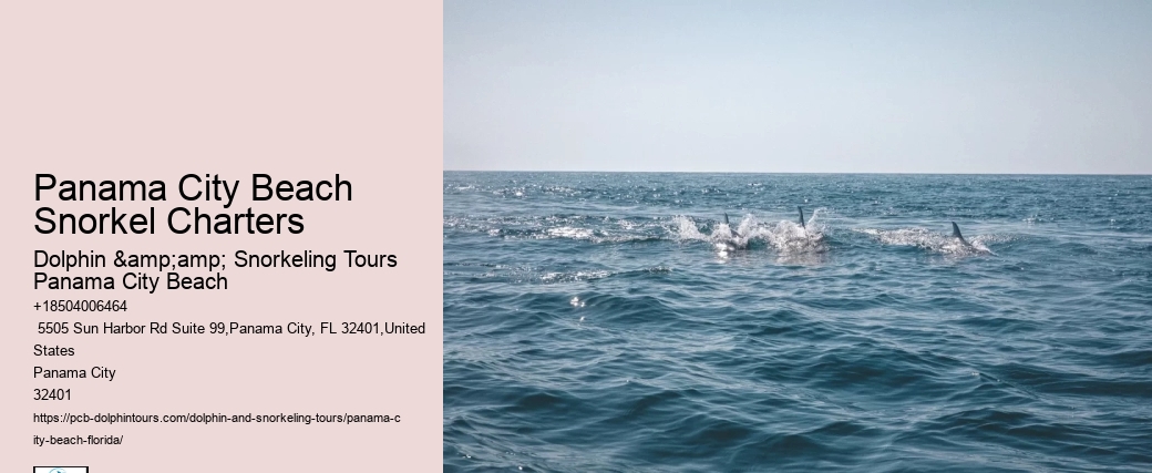 What Is The Guide-to-participant Ratio On The Snorkeling Tours