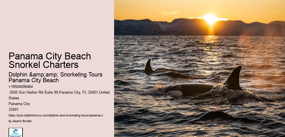 Panama City Beach Snorkeling Tours Prices