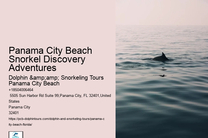 Panama City Beach Snorkeling Tours Site Youtube.com