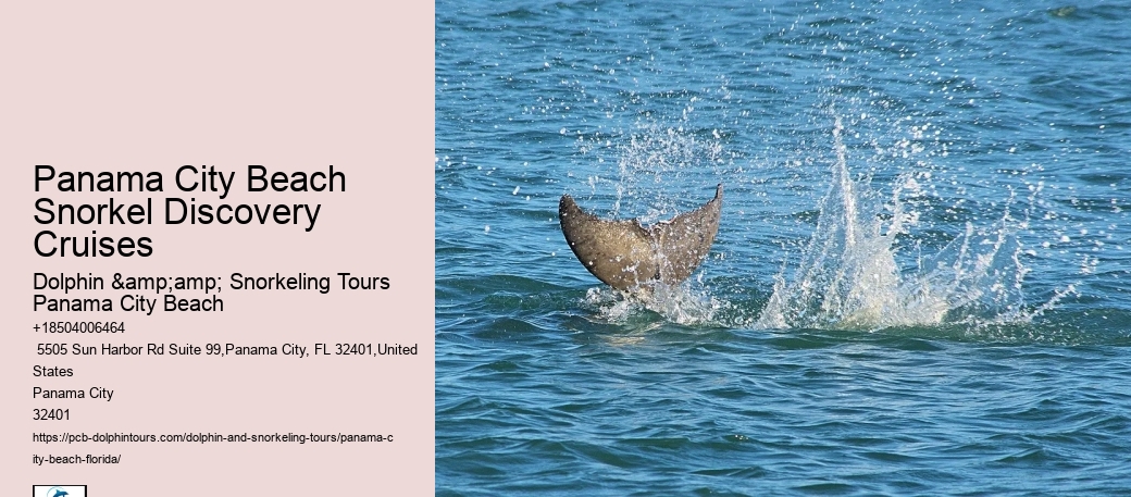 Snorkeling Tours Around Panama City Beach