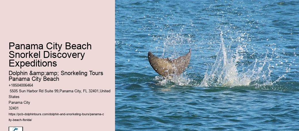 Panama City Beach Snorkel Boat Charters