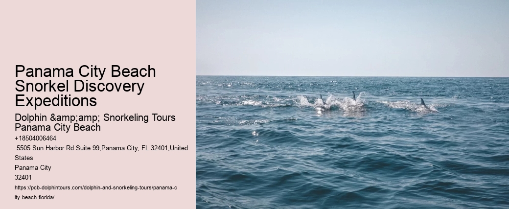 Panama City Beach Snorkeling Tours Jeep