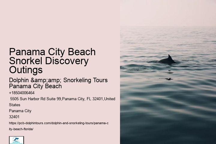 Panama City Beach Snorkel Discovery Tours