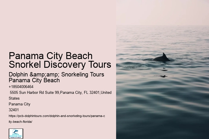 Panama City Beach Snorkeling Tours Savage Valley