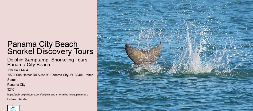 Tour