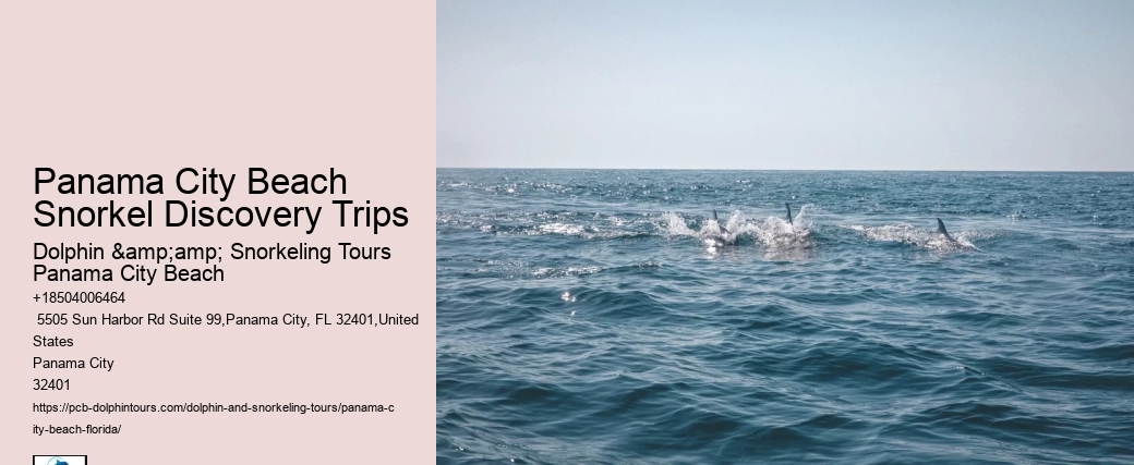Panama City Beach Snorkel Exploration Excursions