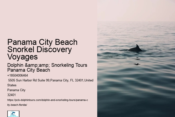 Panama City Beach Snorkeling Tours 020