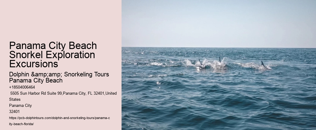 Are There Opportunities For Snorkeling With Manatees During The Tour