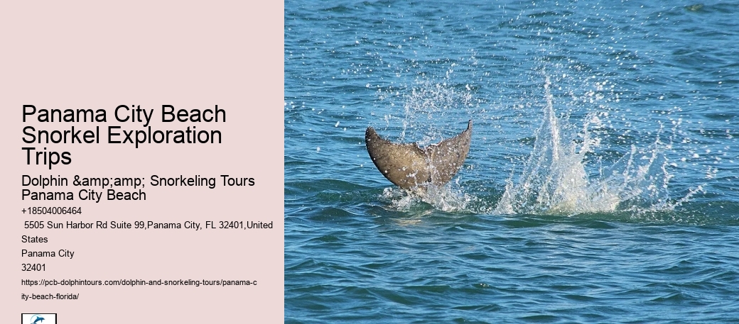 Panama City Beach Snorkeling Tours Center