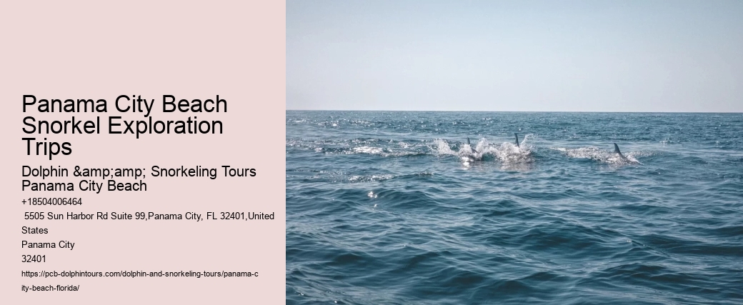 Do I Need To Bring My Own Snorkeling Equipment For The Tour