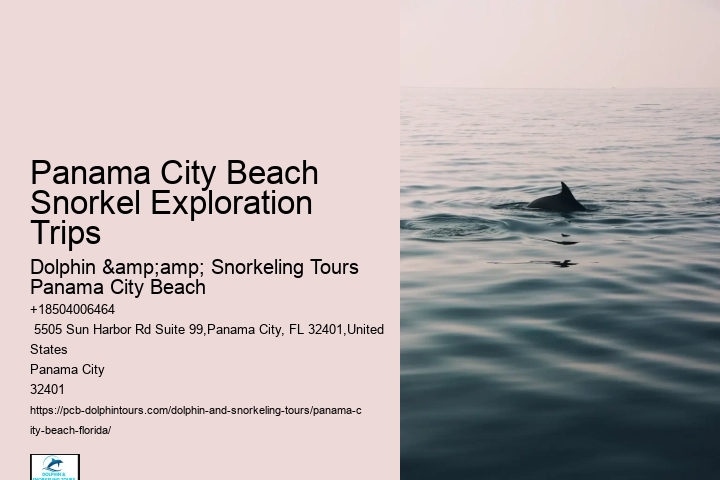 Panama City Beach Snorkeling Tours Wisconsin