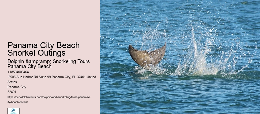 Panama City Beach Snorkeling Tours Colorado Mountains