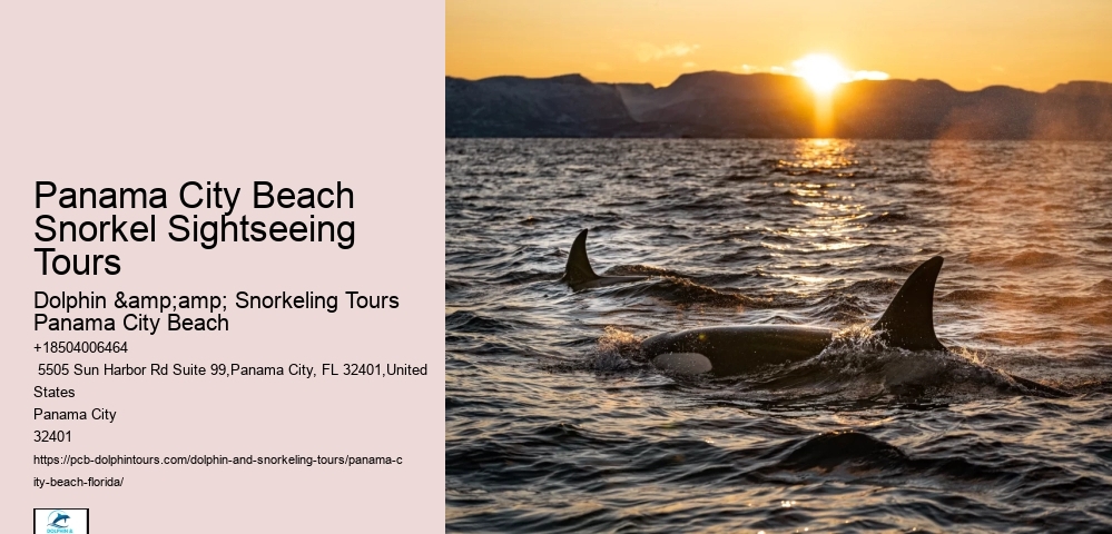 Panama City Beach Snorkeling Tours Lanai
