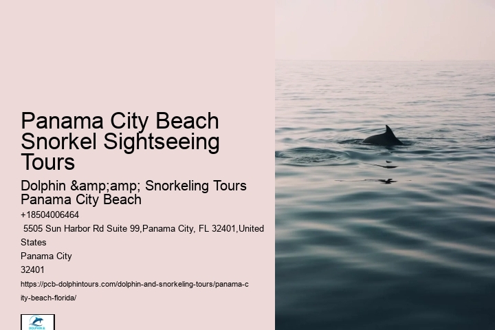 Panama City Beach Snorkeling Tours Rudy's