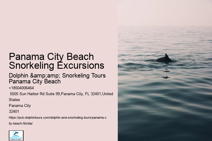 Panama City Beach Snorkel Discovery Cruises
