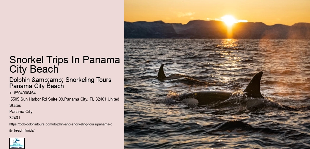 Panama City Beach Snorkeling Tours 5 Points