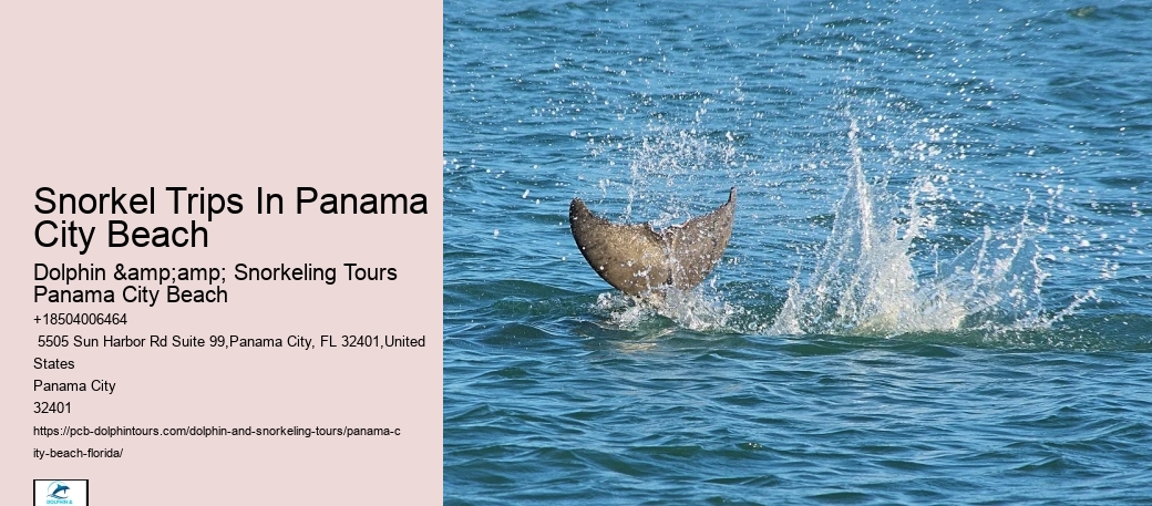 Snorkeling Panama City Beach Florida