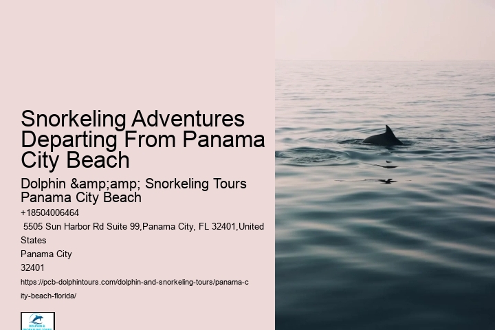 Panama City Beach Snorkel Sightseeing Tours