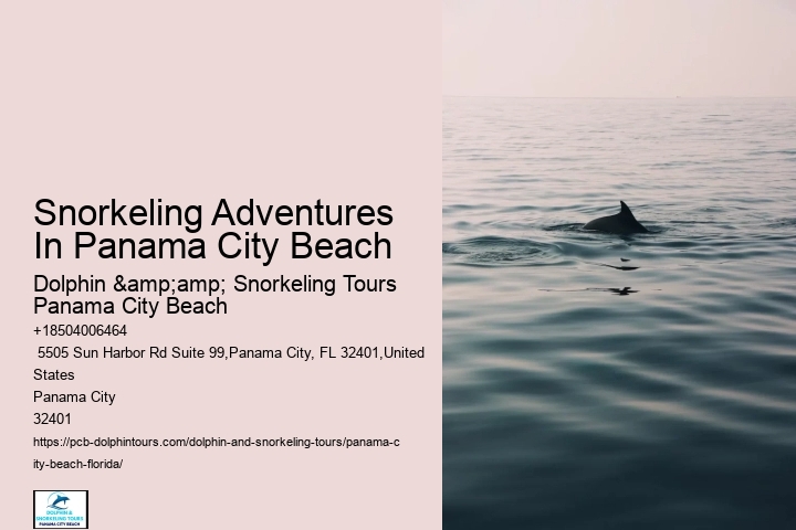Where Is The Best Snorkeling In Panama