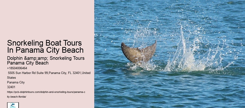 Panama City Beach Snorkeling Tours Fishing