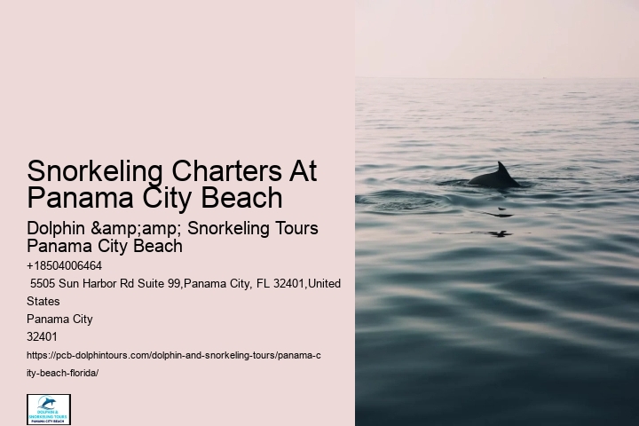 Panama City Beach Snorkeling Tours Key West