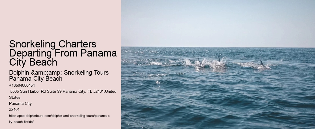 Panama City Beach Snorkeling Tours Reviews