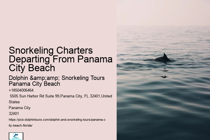 Dolphin Tours Panama City Beach