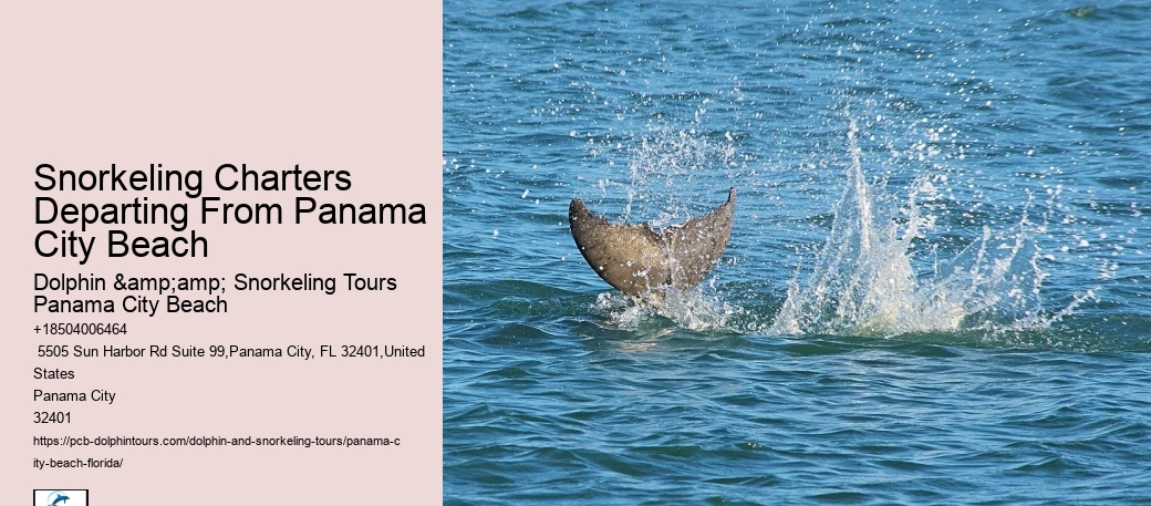 Panama City Beach Snorkeling Tours Zam