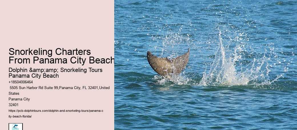 Snorkeling Charters Departing From Panama City Beach